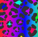 leopard/neon