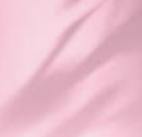ROSE/PASTEL