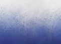 BLEU NUIT / BLANC