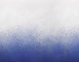BLANC/BLEU MARINE