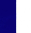 bleunuit/blanc