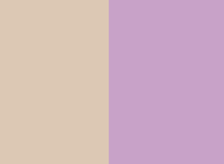BEIGE/LILA