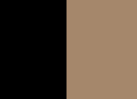 LEOPARD NOIR