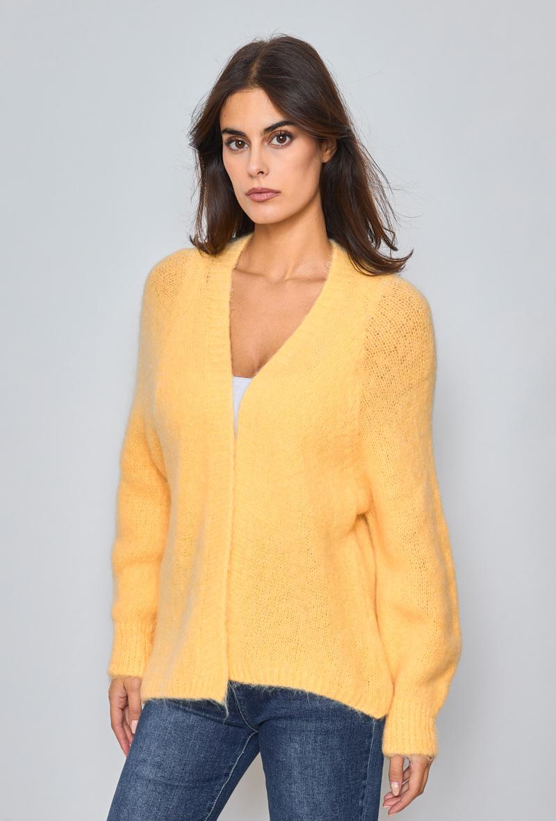 gilet en baby alpaga